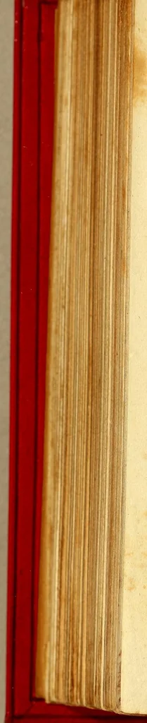An illustration from Primera segunda, y tercera partes de la Araucana de don Alonso de Ercilla y Cuñiga ., 1592, leaf 526
