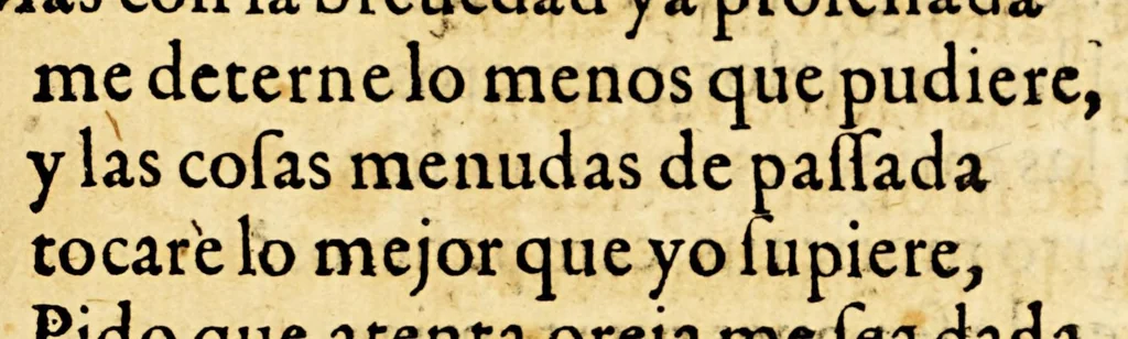 An illustration from Primera y segunda parte dela Araucana, de don Alonso de Ercilla y Çuñiga ., 1578, leaf 191