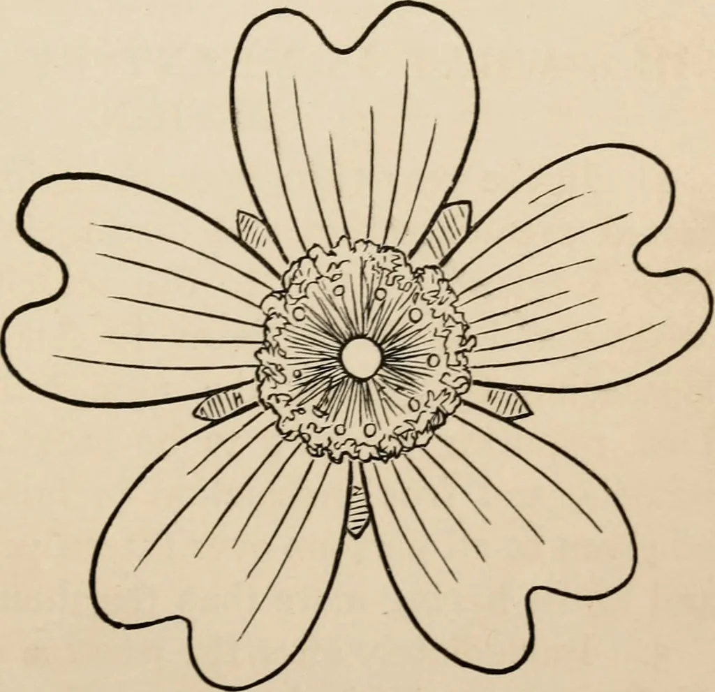 An illustration from Primer of design, 1878, leaf 22