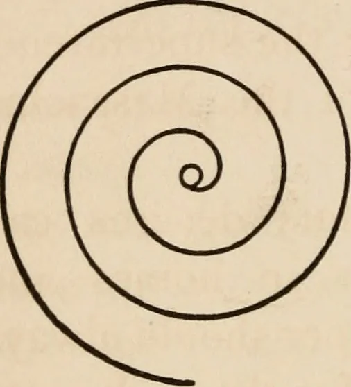 An illustration from Primer of design, 1878, leaf 39