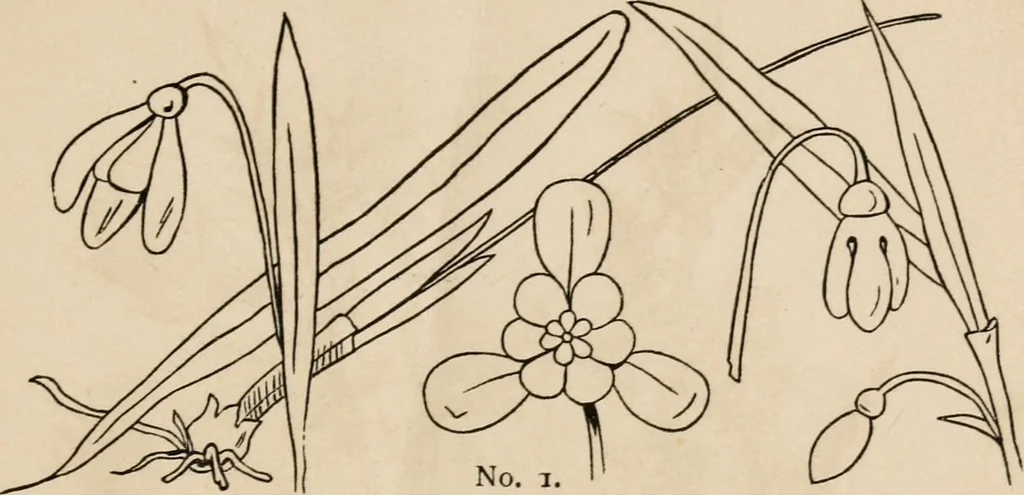 An illustration from Primer of design, 1878, leaf 58