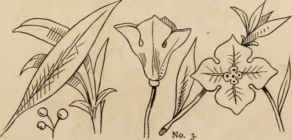 An illustration from Primer of design, 1878, leaf 58