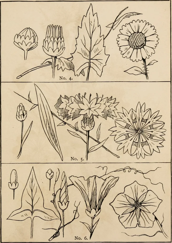 An illustration from Primer of design, 1878, leaf 60