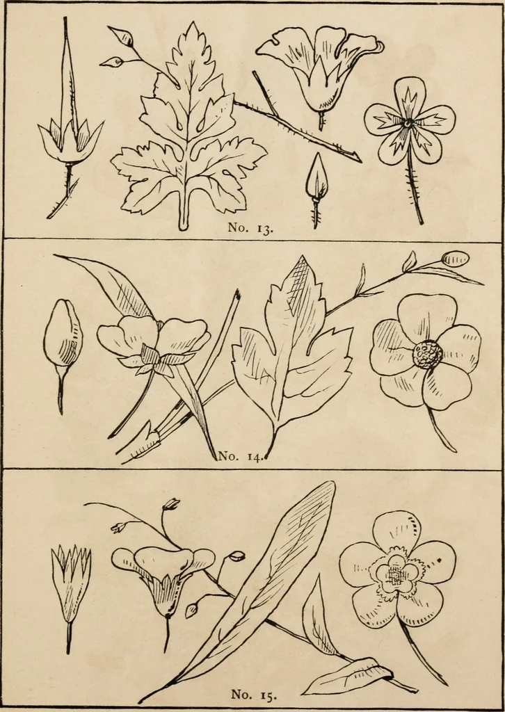 An illustration from Primer of design, 1878, leaf 66