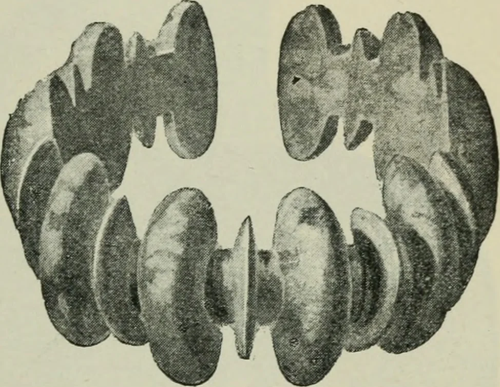 An illustration from Primitive man;, 1900, leaf 126