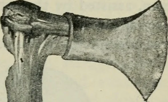 An illustration from Primitive man;, 1900, leaf 30