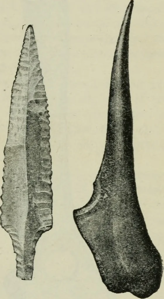 An illustration from Primitive man;, 1900, leaf 38