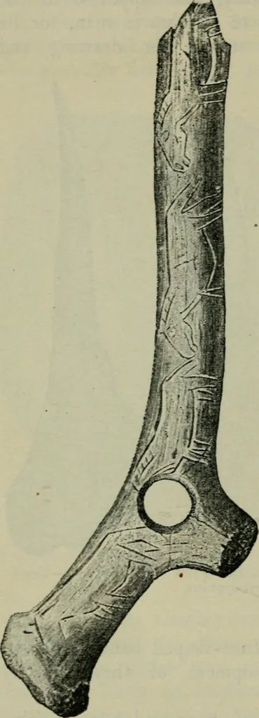 An illustration from Primitive man;, 1900, leaf 39
