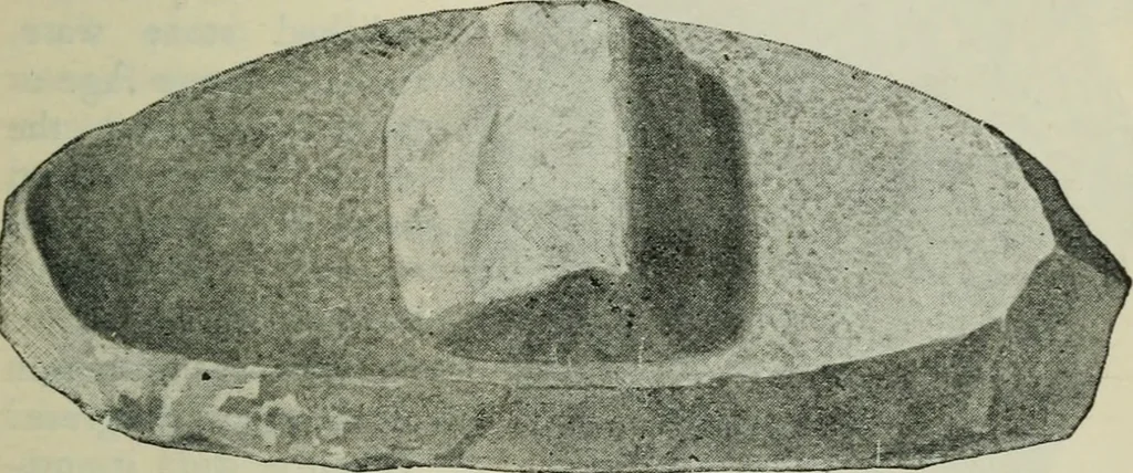 An illustration from Primitive man;, 1900, leaf 44