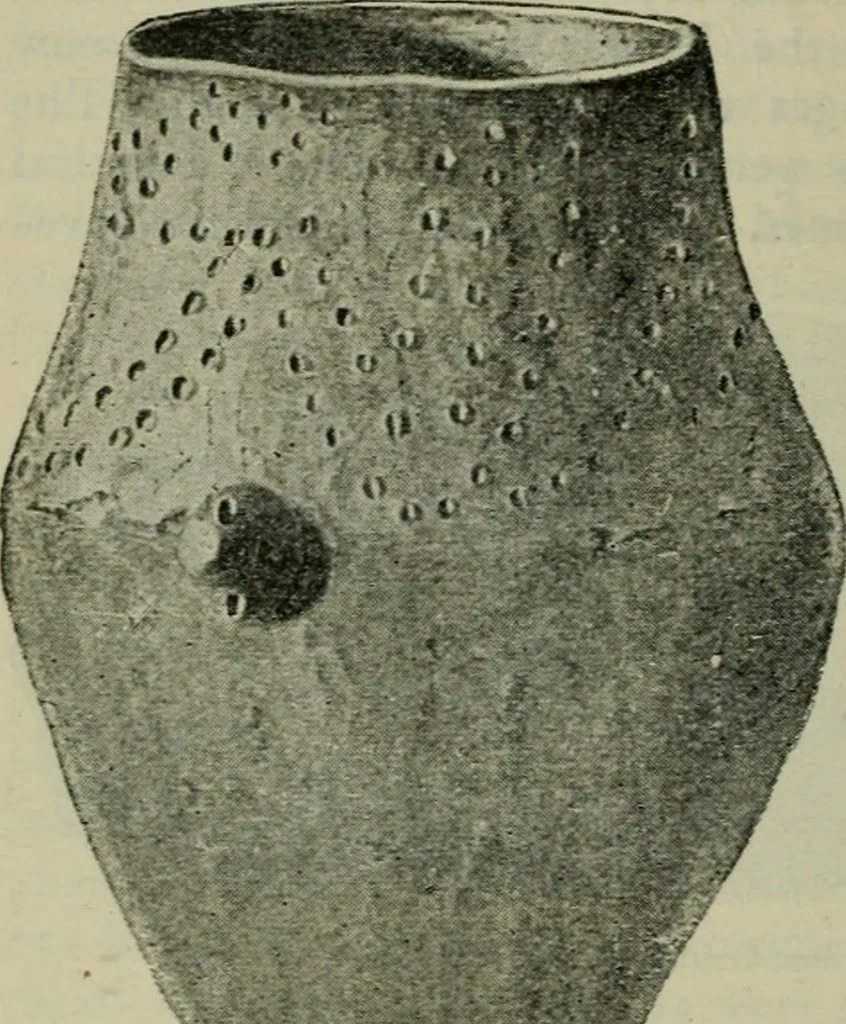 An illustration from Primitive man;, 1900, leaf 45