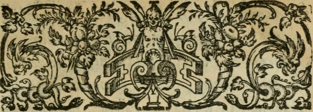 An illustration from Del primo[-sesto] libro de le lettere di M. Pietro Aretino, 1608, leaf 8