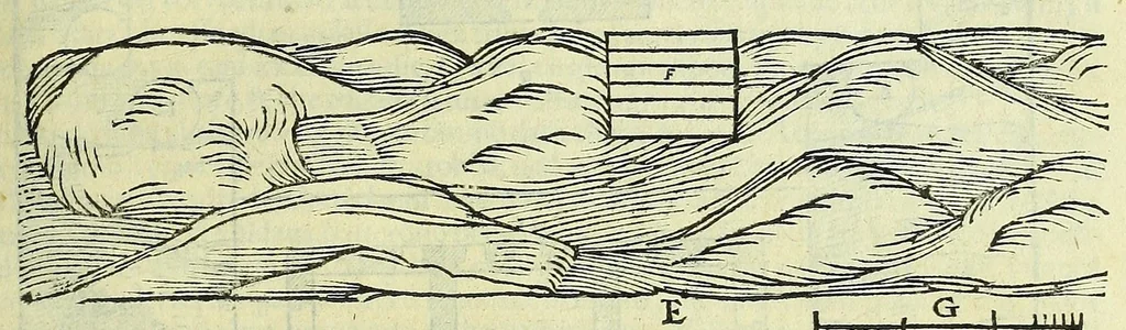 An illustration from Primo volume, & quarta editione delle navigationi et viaggi, 1588, leaf 509