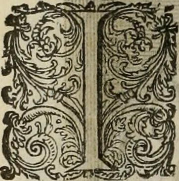 An illustration from Princelyck cabinet : verthoonende t'leven afcomste ende afbeeldingen der voornaemste vorste[n], princen, graven en heeren van Europa jegenwoordig regierende : mitsgaders beschrijvinge vanden staet, landen, rijckdommen ende incomsten der selver ..., 1625, leaf 103