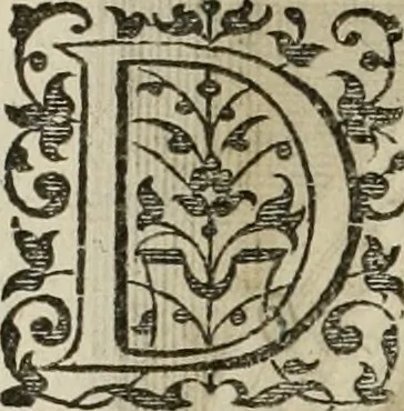 An illustration from Princelyck cabinet : verthoonende t'leven afcomste ende afbeeldingen der voornaemste vorste[n], princen, graven en heeren van Europa jegenwoordig regierende : mitsgaders beschrijvinge vanden staet, landen, rijckdommen ende incomsten der selver ..., 1625, leaf 107