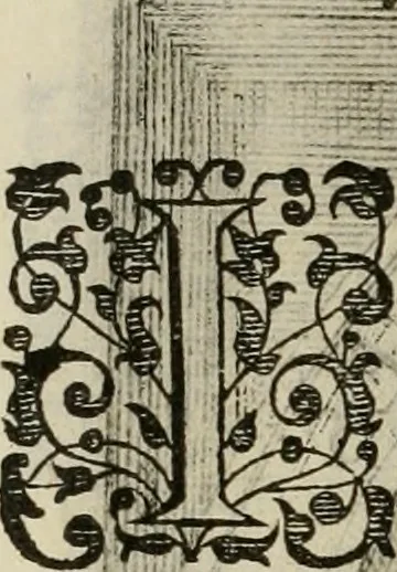 An illustration from Princelyck cabinet : verthoonende t'leven afcomste ende afbeeldingen der voornaemste vorste[n], princen, graven en heeren van Europa jegenwoordig regierende : mitsgaders beschrijvinge vanden staet, landen, rijckdommen ende incomsten der selver ..., 1625, leaf 109
