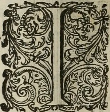 An illustration from Princelyck cabinet : verthoonende t'leven afcomste ende afbeeldingen der voornaemste vorste[n], princen, graven en heeren van Europa jegenwoordig regierende : mitsgaders beschrijvinge vanden staet, landen, rijckdommen ende incomsten der selver ..., 1625, leaf 113