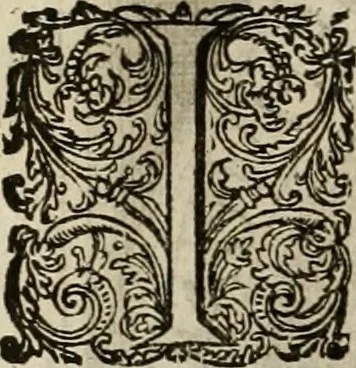 An illustration from Princelyck cabinet : verthoonende t'leven afcomste ende afbeeldingen der voornaemste vorste[n], princen, graven en heeren van Europa jegenwoordig regierende : mitsgaders beschrijvinge vanden staet, landen, rijckdommen ende incomsten der selver ..., 1625, leaf 117