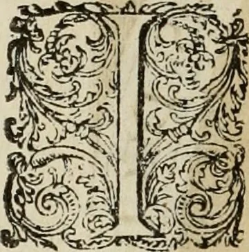 An illustration from Princelyck cabinet : verthoonende t'leven afcomste ende afbeeldingen der voornaemste vorste[n], princen, graven en heeren van Europa jegenwoordig regierende : mitsgaders beschrijvinge vanden staet, landen, rijckdommen ende incomsten der selver ..., 1625, leaf 13