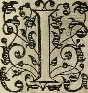 An illustration from Princelyck cabinet : verthoonende t'leven afcomste ende afbeeldingen der voornaemste vorste[n], princen, graven en heeren van Europa jegenwoordig regierende : mitsgaders beschrijvinge vanden staet, landen, rijckdommen ende incomsten der selver ..., 1625, leaf 15