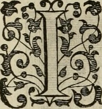 An illustration from Princelyck cabinet : verthoonende t'leven afcomste ende afbeeldingen der voornaemste vorste[n], princen, graven en heeren van Europa jegenwoordig regierende : mitsgaders beschrijvinge vanden staet, landen, rijckdommen ende incomsten der selver ..., 1625, leaf 19