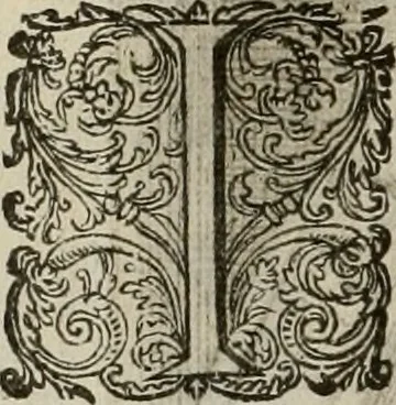 An illustration from Princelyck cabinet : verthoonende t'leven afcomste ende afbeeldingen der voornaemste vorste[n], princen, graven en heeren van Europa jegenwoordig regierende : mitsgaders beschrijvinge vanden staet, landen, rijckdommen ende incomsten der selver ..., 1625, leaf 27