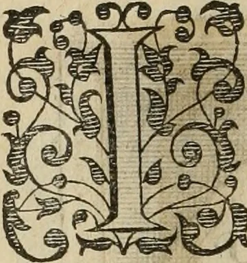 An illustration from Princelyck cabinet : verthoonende t'leven afcomste ende afbeeldingen der voornaemste vorste[n], princen, graven en heeren van Europa jegenwoordig regierende : mitsgaders beschrijvinge vanden staet, landen, rijckdommen ende incomsten der selver ..., 1625, leaf 29