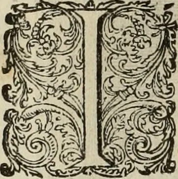 An illustration from Princelyck cabinet : verthoonende t'leven afcomste ende afbeeldingen der voornaemste vorste[n], princen, graven en heeren van Europa jegenwoordig regierende : mitsgaders beschrijvinge vanden staet, landen, rijckdommen ende incomsten der selver ..., 1625, leaf 35