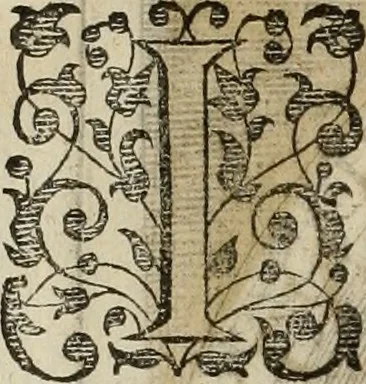 An illustration from Princelyck cabinet : verthoonende t'leven afcomste ende afbeeldingen der voornaemste vorste[n], princen, graven en heeren van Europa jegenwoordig regierende : mitsgaders beschrijvinge vanden staet, landen, rijckdommen ende incomsten der selver ..., 1625, leaf 45