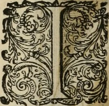 An illustration from Princelyck cabinet : verthoonende t'leven afcomste ende afbeeldingen der voornaemste vorste[n], princen, graven en heeren van Europa jegenwoordig regierende : mitsgaders beschrijvinge vanden staet, landen, rijckdommen ende incomsten der selver ..., 1625, leaf 47