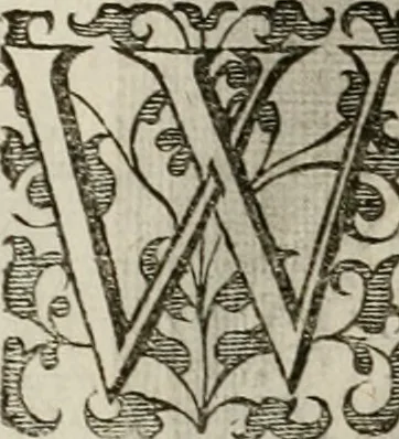 An illustration from Princelyck cabinet : verthoonende t'leven afcomste ende afbeeldingen der voornaemste vorste[n], princen, graven en heeren van Europa jegenwoordig regierende : mitsgaders beschrijvinge vanden staet, landen, rijckdommen ende incomsten der selver ..., 1625, leaf 53