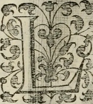 An illustration from Princelyck cabinet : verthoonende t'leven afcomste ende afbeeldingen der voornaemste vorste[n], princen, graven en heeren van Europa jegenwoordig regierende : mitsgaders beschrijvinge vanden staet, landen, rijckdommen ende incomsten der selver ..., 1625, leaf 55