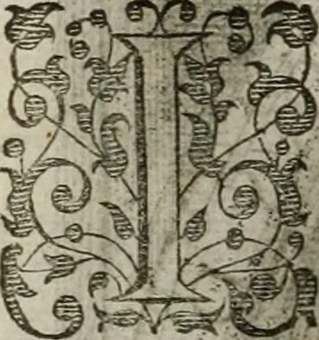 An illustration from Princelyck cabinet : verthoonende t'leven afcomste ende afbeeldingen der voornaemste vorste[n], princen, graven en heeren van Europa jegenwoordig regierende : mitsgaders beschrijvinge vanden staet, landen, rijckdommen ende incomsten der selver ..., 1625, leaf 59
