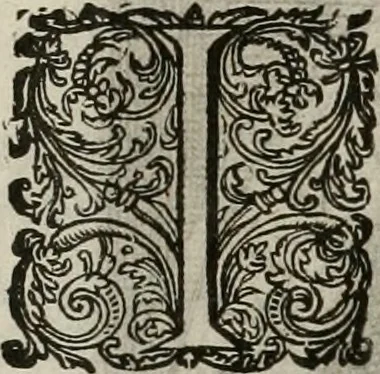 An illustration from Princelyck cabinet : verthoonende t'leven afcomste ende afbeeldingen der voornaemste vorste[n], princen, graven en heeren van Europa jegenwoordig regierende : mitsgaders beschrijvinge vanden staet, landen, rijckdommen ende incomsten der selver ..., 1625, leaf 63