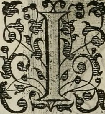 An illustration from Princelyck cabinet : verthoonende t'leven afcomste ende afbeeldingen der voornaemste vorste[n], princen, graven en heeren van Europa jegenwoordig regierende : mitsgaders beschrijvinge vanden staet, landen, rijckdommen ende incomsten der selver ..., 1625, leaf 65