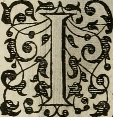 An illustration from Princelyck cabinet : verthoonende t'leven afcomste ende afbeeldingen der voornaemste vorste[n], princen, graven en heeren van Europa jegenwoordig regierende : mitsgaders beschrijvinge vanden staet, landen, rijckdommen ende incomsten der selver ..., 1625, leaf 69
