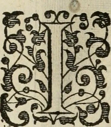 An illustration from Princelyck cabinet : verthoonende t'leven afcomste ende afbeeldingen der voornaemste vorste[n], princen, graven en heeren van Europa jegenwoordig regierende : mitsgaders beschrijvinge vanden staet, landen, rijckdommen ende incomsten der selver ..., 1625, leaf 71