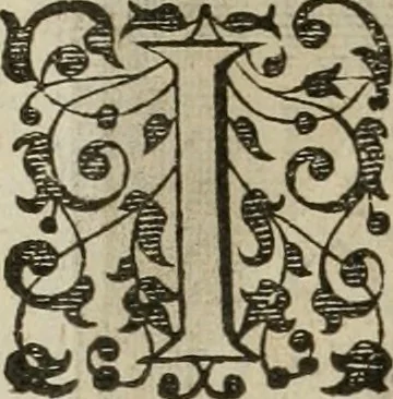 An illustration from Princelyck cabinet : verthoonende t'leven afcomste ende afbeeldingen der voornaemste vorste[n], princen, graven en heeren van Europa jegenwoordig regierende : mitsgaders beschrijvinge vanden staet, landen, rijckdommen ende incomsten der selver ..., 1625, leaf 75