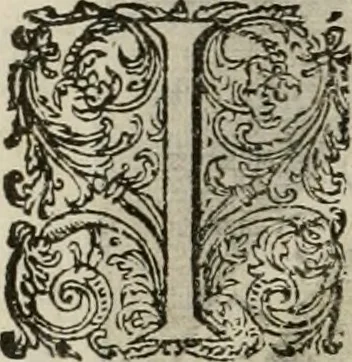 An illustration from Princelyck cabinet : verthoonende t'leven afcomste ende afbeeldingen der voornaemste vorste[n], princen, graven en heeren van Europa jegenwoordig regierende : mitsgaders beschrijvinge vanden staet, landen, rijckdommen ende incomsten der selver ..., 1625, leaf 77