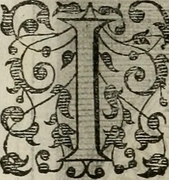An illustration from Princelyck cabinet : verthoonende t'leven afcomste ende afbeeldingen der voornaemste vorste[n], princen, graven en heeren van Europa jegenwoordig regierende : mitsgaders beschrijvinge vanden staet, landen, rijckdommen ende incomsten der selver ..., 1625, leaf 79