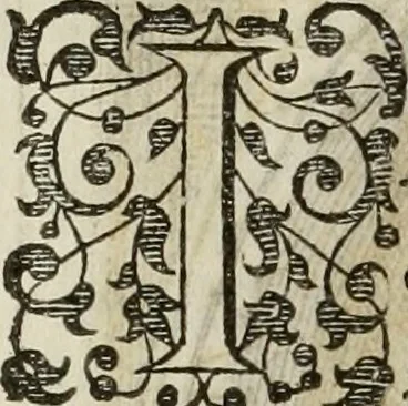 An illustration from Princelyck cabinet : verthoonende t'leven afcomste ende afbeeldingen der voornaemste vorste[n], princen, graven en heeren van Europa jegenwoordig regierende : mitsgaders beschrijvinge vanden staet, landen, rijckdommen ende incomsten der selver ..., 1625, leaf 85