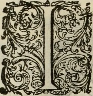 An illustration from Princelyck cabinet : verthoonende t'leven afcomste ende afbeeldingen der voornaemste vorste[n], princen, graven en heeren van Europa jegenwoordig regierende : mitsgaders beschrijvinge vanden staet, landen, rijckdommen ende incomsten der selver ..., 1625, leaf 89