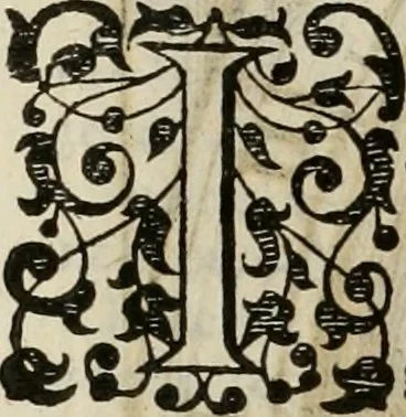 An illustration from Princelyck cabinet : verthoonende t'leven afcomste ende afbeeldingen der voornaemste vorste[n], princen, graven en heeren van Europa jegenwoordig regierende : mitsgaders beschrijvinge vanden staet, landen, rijckdommen ende incomsten der selver ..., 1625, leaf 91