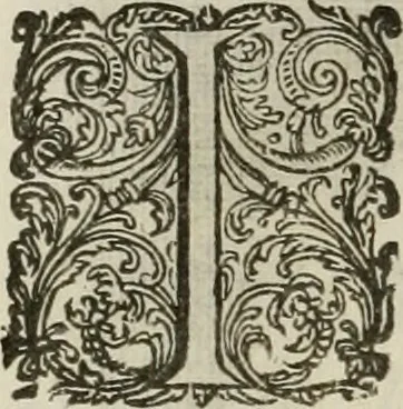 An illustration from Princelyck cabinet : verthoonende t'leven afcomste ende afbeeldingen der voornaemste vorste[n], princen, graven en heeren van Europa jegenwoordig regierende : mitsgaders beschrijvinge vanden staet, landen, rijckdommen ende incomsten der selver ..., 1625, leaf 95