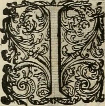 An illustration from Princelyck cabinet : verthoonende t'leven afcomste ende afbeeldingen der voornaemste vorste[n], princen, graven en heeren van Europa jegenwoordig regierende : mitsgaders beschrijvinge vanden staet, landen, rijckdommen ende incomsten der selver ..., 1625, leaf 97
