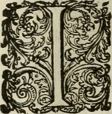 An illustration from Princelyck cabinet : verthoonende t'leven afcomste ende afbeeldingen der voornaemste vorste[n], princen, graven en heeren van Europa jegenwoordig regierende : mitsgaders beschrijvinge vanden staet, landen, rijckdommen ende incomsten der selver ..., 1625, leaf 99
