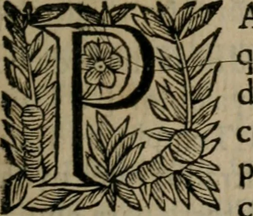 An illustration from Principe perfecto y ministros aiustados : documentos politicos, y morales en emblemas, 1662, leaf 244