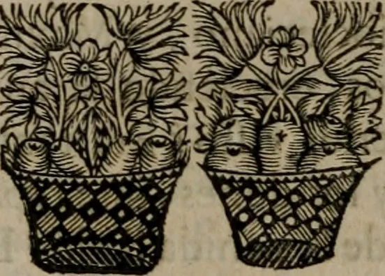 An illustration from Principe perfecto y ministros aiustados : documentos politicos, y morales en emblemas, 1662, leaf 339