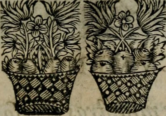 An illustration from Principe perfecto y ministros aiustados : documentos politicos, y morales en emblemas, 1662, leaf 380