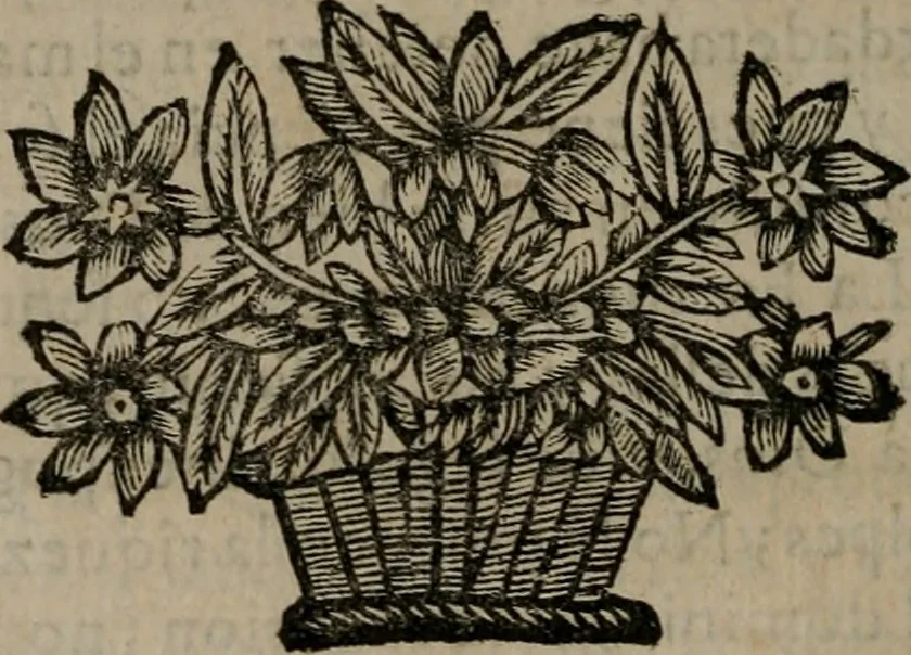 An illustration from Principe perfecto y ministros aiustados : documentos politicos, y morales en emblemas, 1662, leaf 57