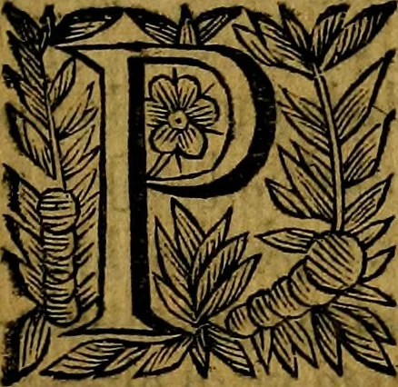 An illustration from Principe perfecto y ministros aivstados, docvmentos politicos, y morales. En emblemas, 1662, leaf 222
